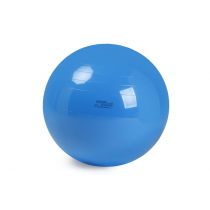 Pallone Physio Gymnic Cm 95 - Colore Blu