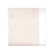 Gima rotolo per elettrocardiografo Eli 230 carta termica 210 mm x 20 m con griglia arancione