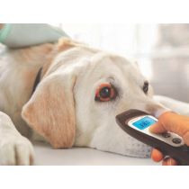 Visiofocus Veterinaria - Termometro Infrarossi Bluetooth per Animali