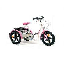 Triciclo per Bambini da 8 Anni