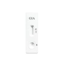 Test VET Per Cani e Gatti - GIARDIA Ag - 10 pezzi
