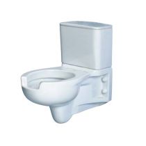 Wc Monoblocco Sospeso con Cassetta di Scarico (Disponibile Anche con Funzione Bidet)