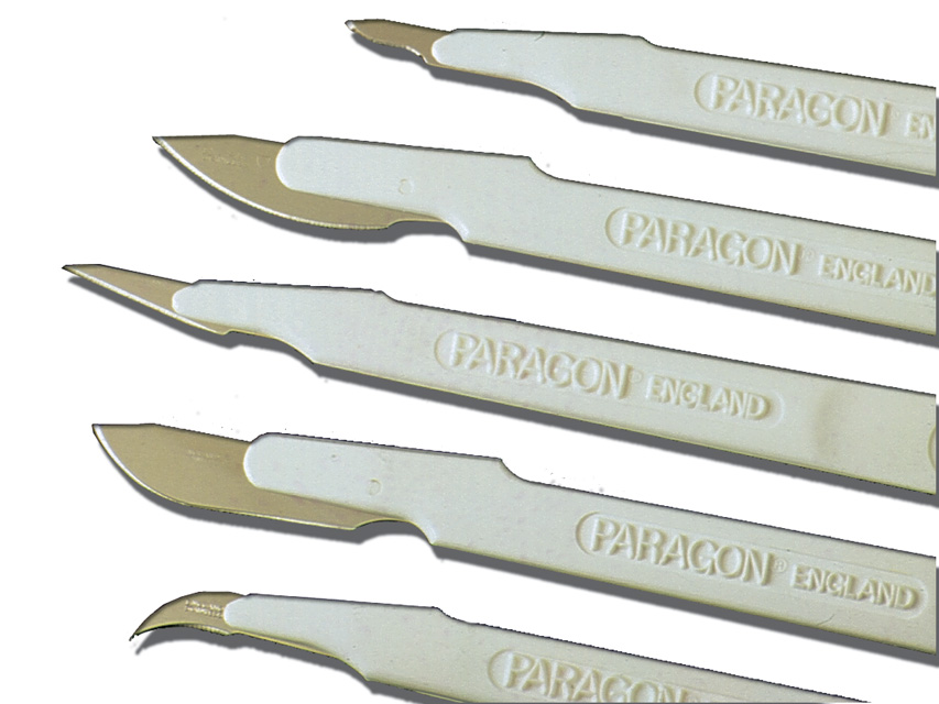 Bisturi Monouso in Acciaio Inox Paragon